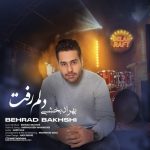 دانلود آهنگ جدید بهراد بخشی به نام دلم رفت دانلود آهنگ جدید بهراد بخشی به نام دلم رفت