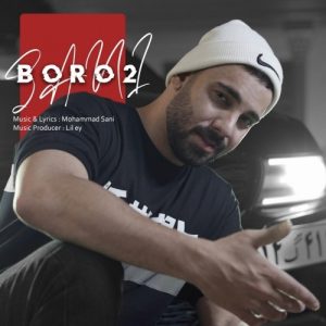دانلود آهنگ جدید سانی به نام برو تو