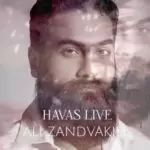 دانلود آهنگ جدید علی زندوکیلی به نام هوس