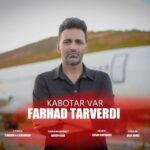 دانلود آهنگ جدید فرهاد تاروردی به نام کبوتر وار