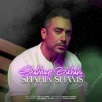 دانلود آهنگ جدید شاهین شمس به نام شب های بیخوابی دانلود آهنگ جدید شاهین شمس به نام شب های بیخوابی