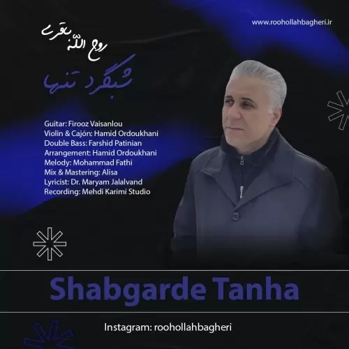 دانلود آهنگ جدید روح الله باقری به نام شبگرد تنها