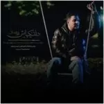 دانلود آهنگ جدید پویا بیاتی به نام دلتنگیهایش