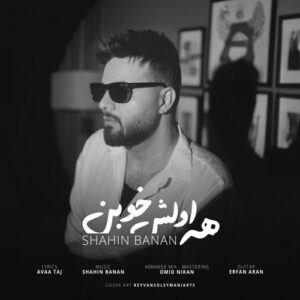 دانلود آهنگ جدید شاهین بنان به نام همه اولش خوب