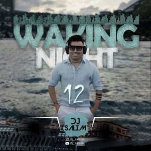دانلود پادکست جدید دیجی سلیم به نام Waking Night 12