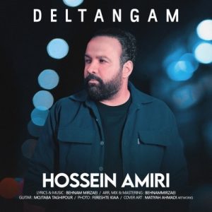 دانلود آهنگ جدید حسین امیری به نام دلتنگم