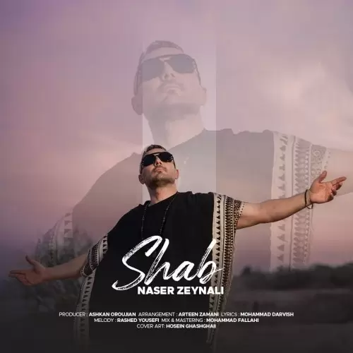 دانلود آهنگ جدید ناصر زینلی به نام شب