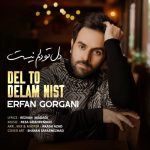 دانلود آهنگ جدید عرفان گرگانی به نام دل تو دلم نیست