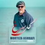 دانلود آهنگ جدید مرتضی اشرفی به نام گل سرخ