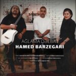 دانلود آهنگ جدید حامد برزگری به نام اغلاما قلبیم