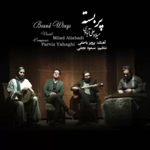 دانلود آهنگ جدید میلاد علی آبادی به نام پر بسته