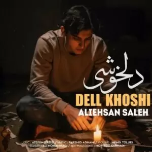 دانلود آهنگ جدید علی احسان صالح به نام دلخوشی (ورژن جدید)