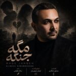دانلود آهنگ جدید علیرضا کرم بخش به نام مگه جنگه