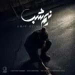 دانلود آهنگ جدید امیر عظیمی به نام نیم شب دانلود آهنگ جدید امیر عظیمی به نام نیم شب