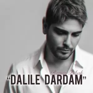 دانلود آهنگ جدید رامین بیباک به نام دلیل دردم