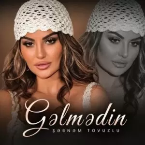 دانلود آهنگ جدید Sebnem Tovuzlu به نام Gelmedin