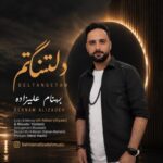 دانلود آهنگ جدید بهنام علیزاده به نام دلتنگتم