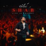 دانلود آهنگ جدید آرمان گرشاسبی به نام شب (اجرای زنده)